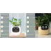 Smart Planter Endless Fun Over 49 Rich Expressions 7 Smart Sensors And AI Chips Make Raising Plants Easy And Fun Smart Planter Endless Fun Over 49 Rich Expressions 7 Smart Sensors And AI Chips Make Raising Plants Easy And Fun