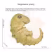 Children's Dinosaur Offspring Cognitive Toys Children's Dinosaur Offspring Cognitive Toys