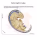 Children's Dinosaur Offspring Cognitive Toys Children's Dinosaur Offspring Cognitive Toys