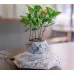 Levitating Plant Pot Marble Color Floating Planter Magnetic Levitation Bonsai Pot Office Home Decoration Kids Birthday Gift Home Decor