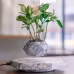 Levitating Plant Pot Marble Color Floating Planter Magnetic Levitation Bonsai Pot Office Home Decoration Kids Birthday Gift Home Decor Levitating Plant Pot Marble Color Floating Planter Magnetic Levitation Bonsai Pot Office Home Decoration Kids Birthday Gift Home Decor