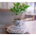 Levitating Plant Pot Marble Color Floating Planter Magnetic Levitation Bonsai Pot Office Home Decoration Kids Birthday Gift Home Decor Levitating Plant Pot Marble Color Floating Planter Magnetic Levitation Bonsai Pot Office Home Decoration Kids Birthday Gift Home Decor