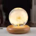 LED Night Light Flower Crystal Ball Children Night Lamp With Woodern Base Bedroom Ambient Light Creative Gift Night Light LED Night Light Flower Crystal Ball Children Night Lamp With Woodern Base Bedroom Ambient Light Creative Gift Night Light