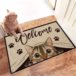 Cartoon Crystal Velvet Floor Mat Home