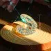 Crystal Pearl Shell Home Decorations