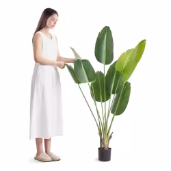 Artificial Birds Of Paradise Tree, 5 FT Tall Faux Plant, PE Material & Anti-Tip Tilt Protection Low-Maintenance Plant, Lifelike Green Fake Tree For Home Office Warehouse Decor Indoor Outdoor Artificial Birds Of Paradise Tree, 5 FT Tall Faux Plant, PE Material & Anti-Tip Tilt Protection Low-Maintenance Plant, Lifelike Green Fake Tree For Home Office Warehouse Decor Indoor Outdoor