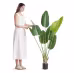 Artificial Birds Of Paradise Tree, 5 FT Tall Faux Plant, PE Material & Anti-Tip Tilt Protection Low-Maintenance Plant, Lifelike Green Fake Tree For Home Office Warehouse Decor Indoor Outdoor Artificial Birds Of Paradise Tree, 5 FT Tall Faux Plant, PE Material & Anti-Tip Tilt Protection Low-Maintenance Plant, Lifelike Green Fake Tree For Home Office Warehouse Decor Indoor Outdoor