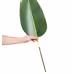 Artificial Birds Of Paradise Tree, 5 FT Tall Faux Plant, PE Material & Anti-Tip Tilt Protection Low-Maintenance Plant, Lifelike Green Fake Tree For Home Office Warehouse Decor Indoor Outdoor Artificial Birds Of Paradise Tree, 5 FT Tall Faux Plant, PE Material & Anti-Tip Tilt Protection Low-Maintenance Plant, Lifelike Green Fake Tree For Home Office Warehouse Decor Indoor Outdoor