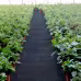 VEVOR 6FTx300FT Premium Weed Barrier Fabric Heavy Duty 3.2OZ, Woven Weed Control Fabric, High Permeability Good For Flower Bed, Geotextile Fabric For Underlayment, Polyethylene Ground Cover