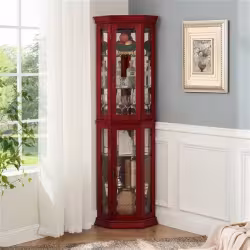 Corner Rare Cabinet With Lamp Corner Display Corner Rare Cabinet With Lamp Corner Display