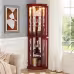 Corner Rare Cabinet With Lamp Corner Display Corner Rare Cabinet With Lamp Corner Display