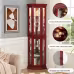 Corner Rare Cabinet With Lamp Corner Display Corner Rare Cabinet With Lamp Corner Display