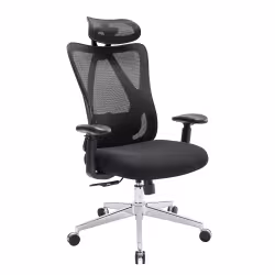 Ergonomic Office Chair