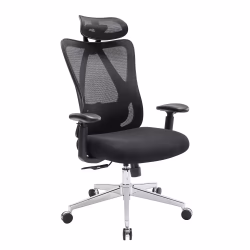 Ergonomic Office Chair