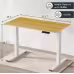 Electric Standing Desk Whole Piece Adjustable Height Desk Home Office Computer Workstation Sit Stand Up Desk