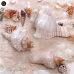 2PCS Conch Shell Large Natural Seashells For Fish Tank Wedding Decor Beach Theme Party Home Decorations 2PCS Conch Shell Large Natural Seashells For Fish Tank Wedding Decor Beach Theme Party Home Decorations