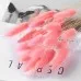 Home Decoration Ornaments - Rabbit Tail Grass Dried Flower Bouquet
