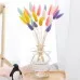 Home Decoration Ornaments - Rabbit Tail Grass Dried Flower Bouquet Home Decoration Ornaments - Rabbit Tail Grass Dried Flower Bouquet