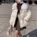 Down Cotton-padded Jacket Women's Short Fur Collar Thickened Coat Winter Clothing Down Cotton-padded Jacket Women's Short Fur Collar Thickened Coat Winter Clothing