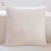 Bed Pillow Sofa Cushion Plush Pillowcase Bed Pillow Sofa Cushion Plush Pillowcase
