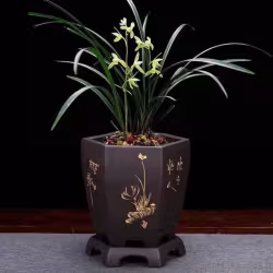 Purple Sand Ceramic Indoor Orchid Pots Bonsai Office Decoration Ornaments