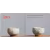 Hand Painted Persimmon Tea Cup Ice Crack Porcelain Kung Fu Tea Set