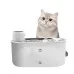 Stainless Steel Plate Pet Timing Flow Induction Function Water Feeder Stainless Steel Plate Pet Timing Flow Induction Function Water Feeder