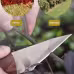Fruit Tree Grafting Special Gardening Multifunctional Grafting Knife Fruit Tree Grafting Special Gardening Multifunctional Grafting Knife