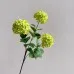 Flowers Hydrangeas SnowballsSmall Home Furnishings