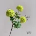 Flowers Hydrangeas SnowballsSmall Home Furnishings