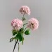Flowers Hydrangeas SnowballsSmall Home Furnishings