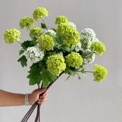 Flowers Hydrangeas SnowballsSmall Home Furnishings Flowers Hydrangeas SnowballsSmall Home Furnishings