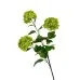Flowers Hydrangeas SnowballsSmall Home Furnishings Flowers Hydrangeas SnowballsSmall Home Furnishings
