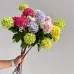 Flowers Hydrangeas SnowballsSmall Home Furnishings Flowers Hydrangeas SnowballsSmall Home Furnishings