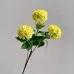 Flowers Hydrangeas SnowballsSmall Home Furnishings