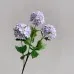 Flowers Hydrangeas SnowballsSmall Home Furnishings Flowers Hydrangeas SnowballsSmall Home Furnishings