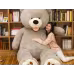 Giant Teddy Bear Plush Toy Huge Soft Toys Leather Shell Giant Teddy Bear Plush Toy Huge Soft Toys Leather Shell