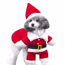 Pet Christmas Decoration Costume Pet Standing Costume Pet Christmas Decoration Costume Pet Standing Costume
