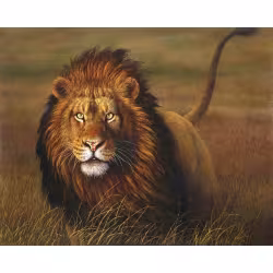 Frameless Diy40x50 Lion Digital Oil Painting Frameless Diy40x50 Lion Digital Oil Painting