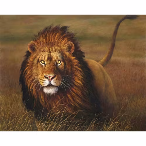 Frameless Diy40x50 Lion Digital Oil Painting