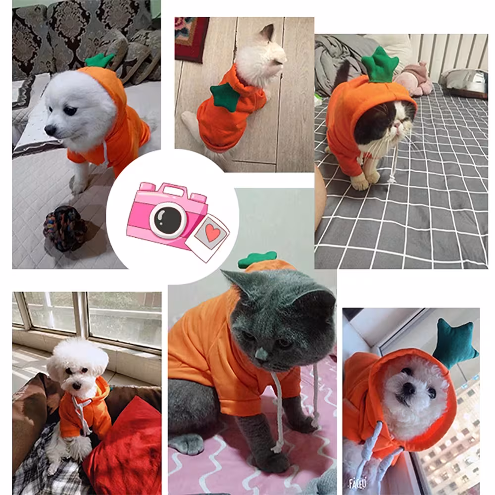 Cute Fruit Dog Clothes For Small Dogs Hoodies Winter Warm Fleece Pet Clothing Puppy Cat Costume Coat For French Chihuahua Outfit