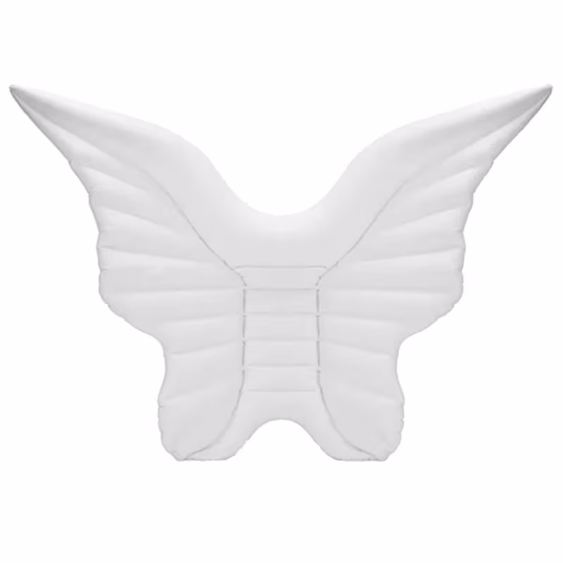 Fashion Angel Wings Inflatable Floating Row