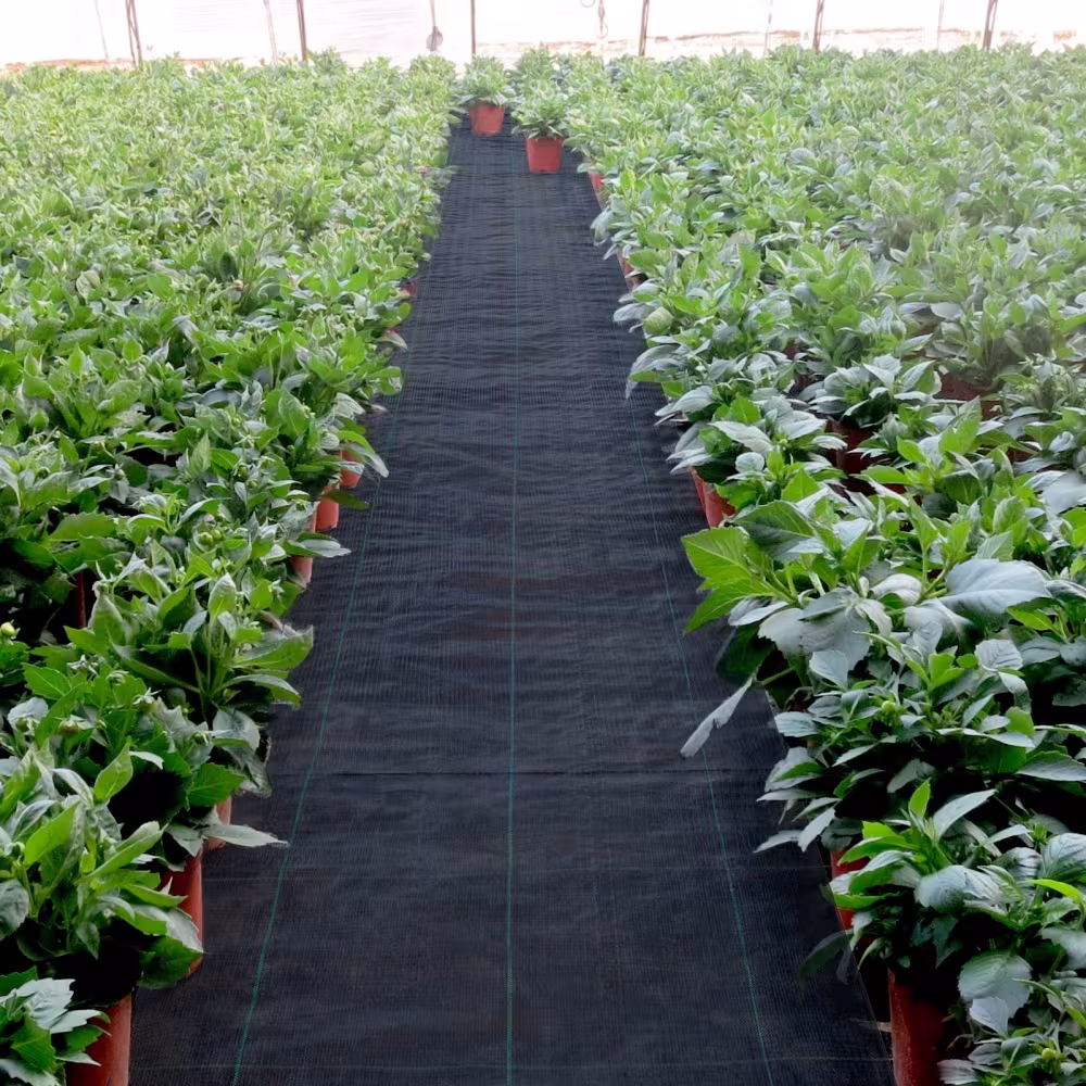 VEVOR 6FTx300FT Premium Weed Barrier Fabric Heavy Duty 3.2OZ, Woven Weed Control Fabric, High Permeability Good For Flower Bed, Geotextile Fabric For Underlayment, Polyethylene Ground Cover