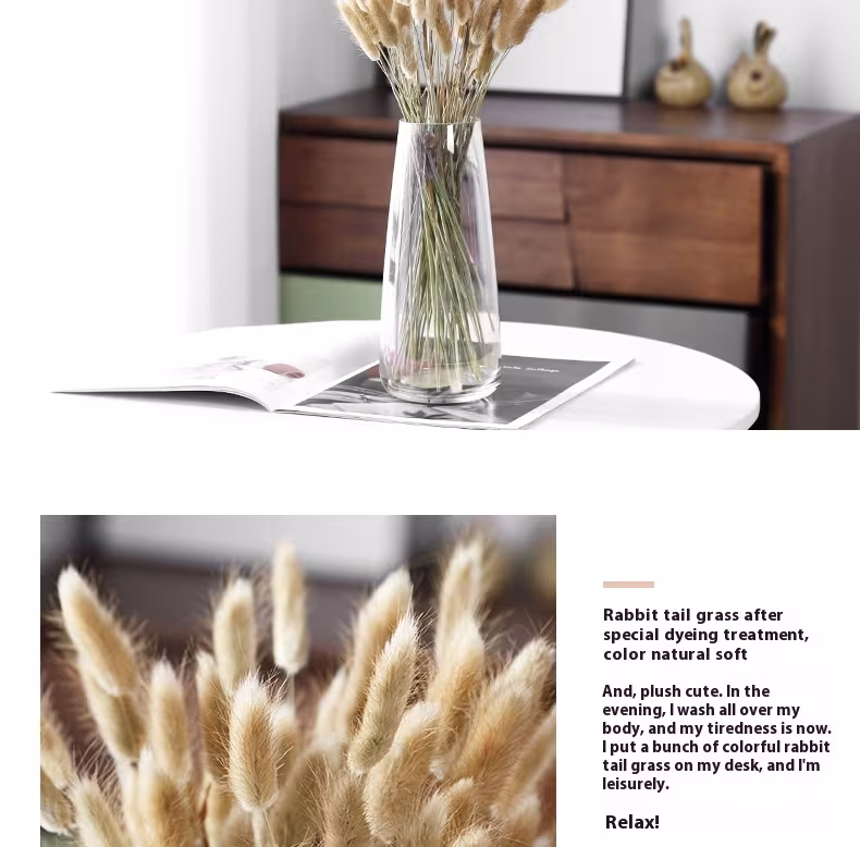 Home Decoration Ornaments - Rabbit Tail Grass Dried Flower Bouquet