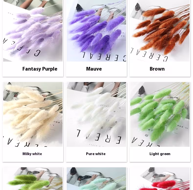 Home Decoration Ornaments - Rabbit Tail Grass Dried Flower Bouquet