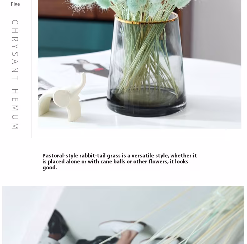Home Decoration Ornaments - Rabbit Tail Grass Dried Flower Bouquet