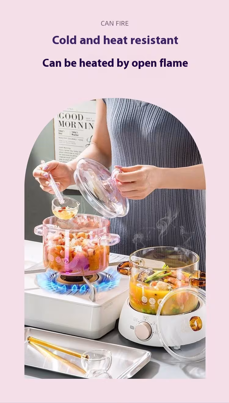Borosilicate Glass Pot Household Heating Binaural