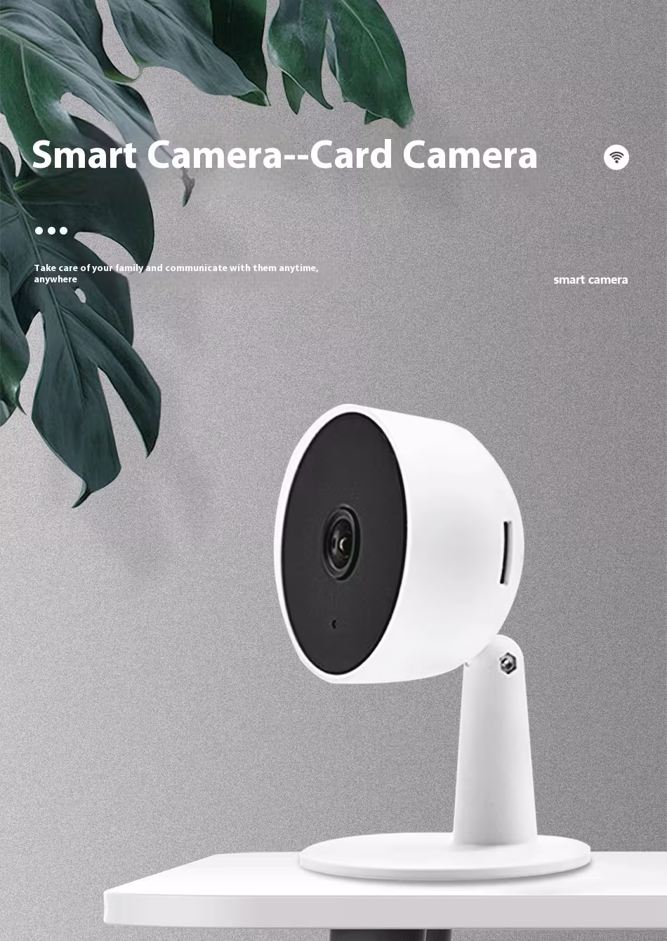 Surveillance Camera Dual-screen Home Intelligence