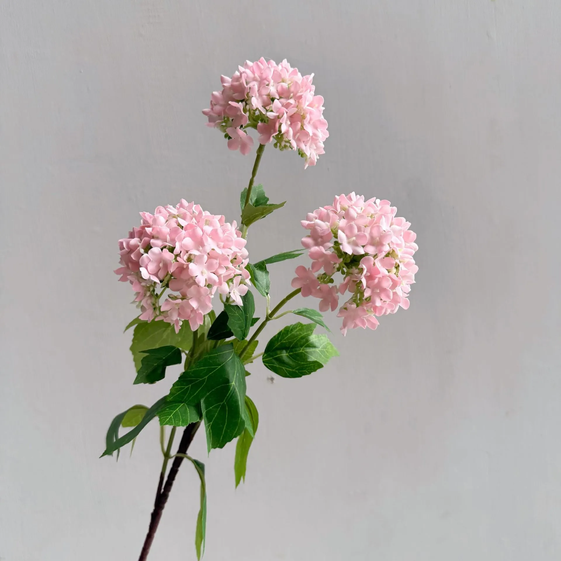 Flowers Hydrangeas SnowballsSmall Home Furnishings