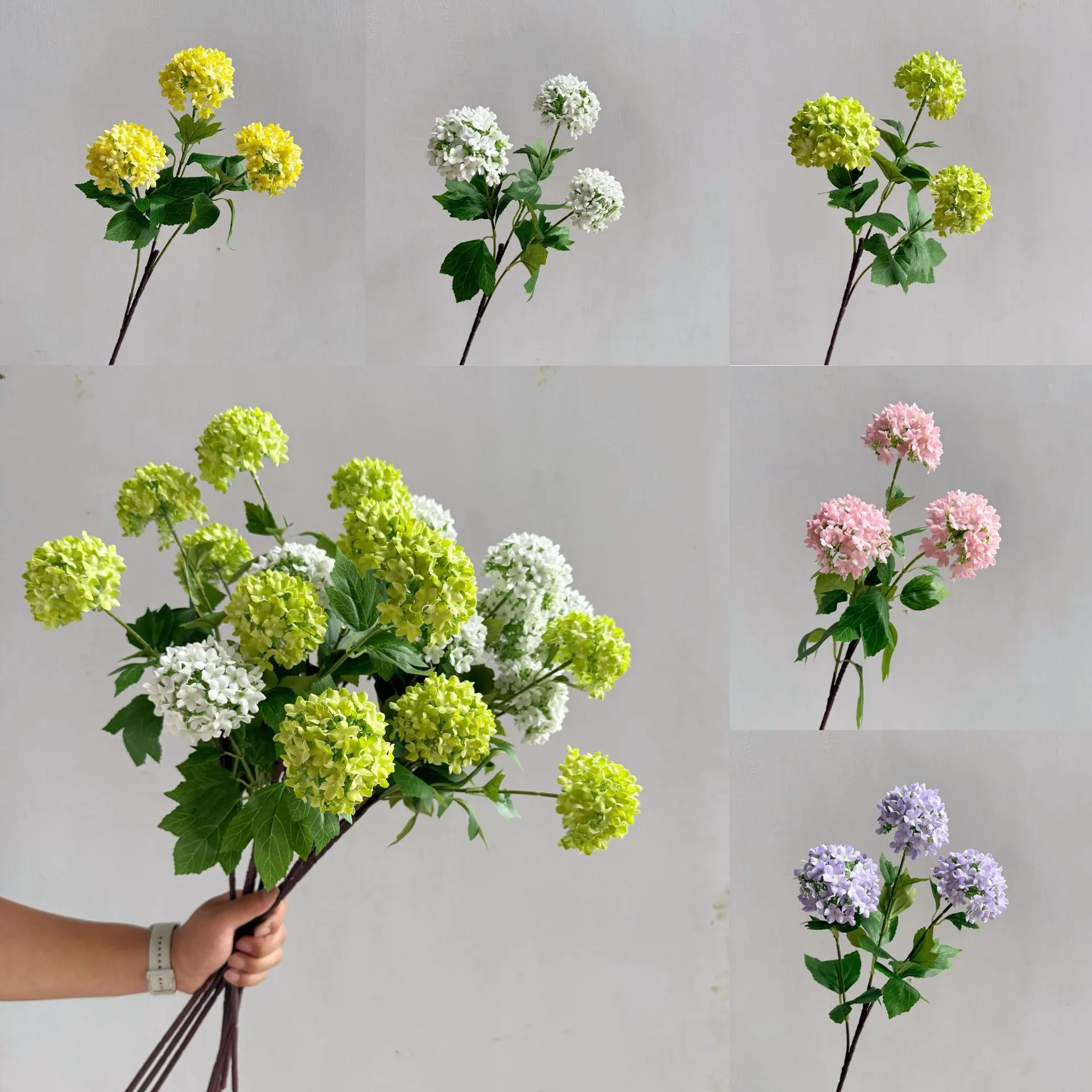Flowers Hydrangeas SnowballsSmall Home Furnishings